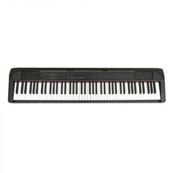 ECHORD dp1 + supporto conto vendita