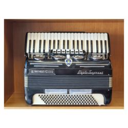 L'Artigiana Fisarmonica 120 bassi nera w/case CONTO VENDITA