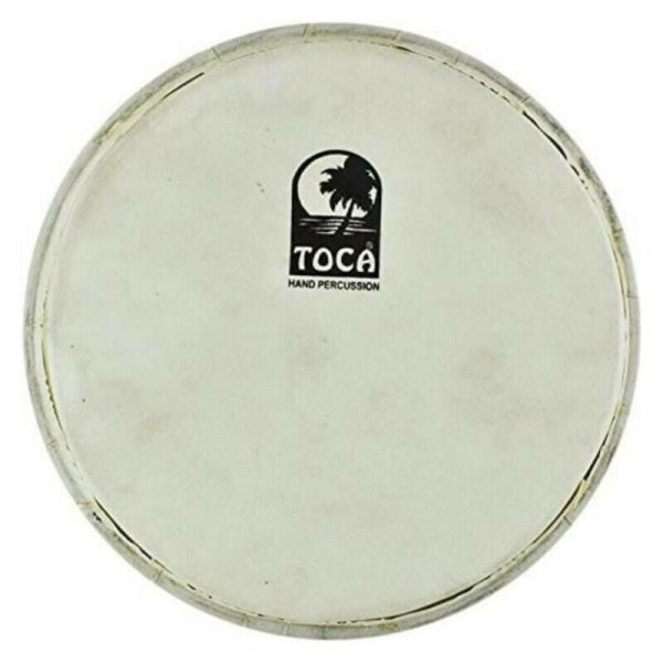 Toca pelle tarabuka 9