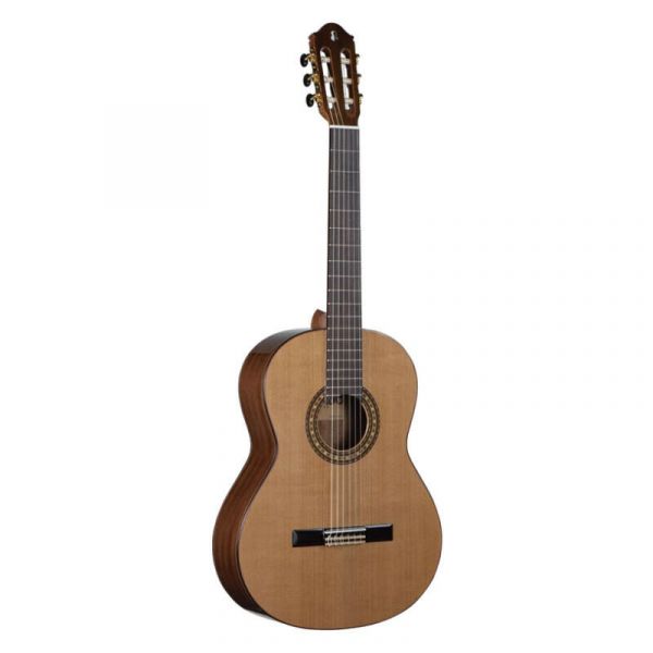 Raimundo r-300 w/bag