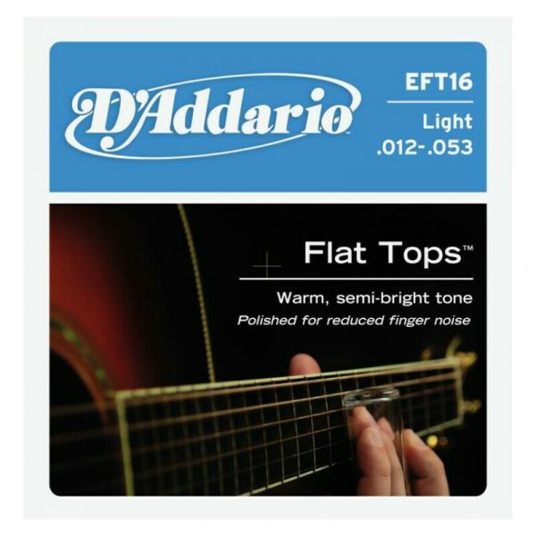 Daddario eft16 light 12-53 bronze