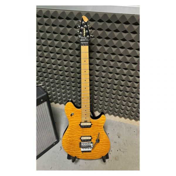 Peavey wolfgang special usato