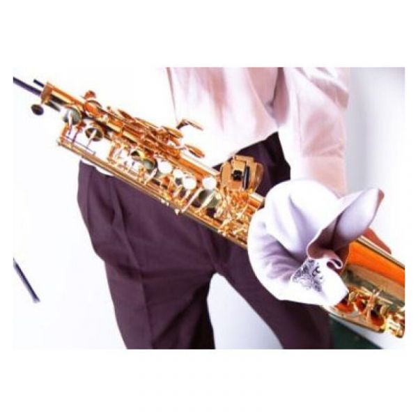 BG a30l panno sax tenore