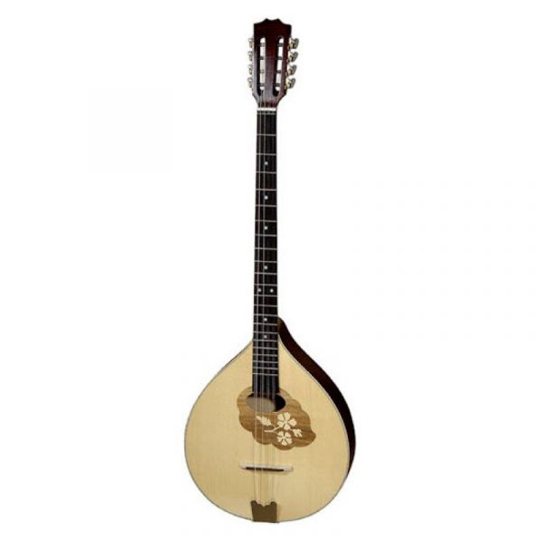 Reghin bouzouki irlandese
