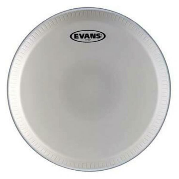 Evans ec1250m-m pelle tumba 12 1/2