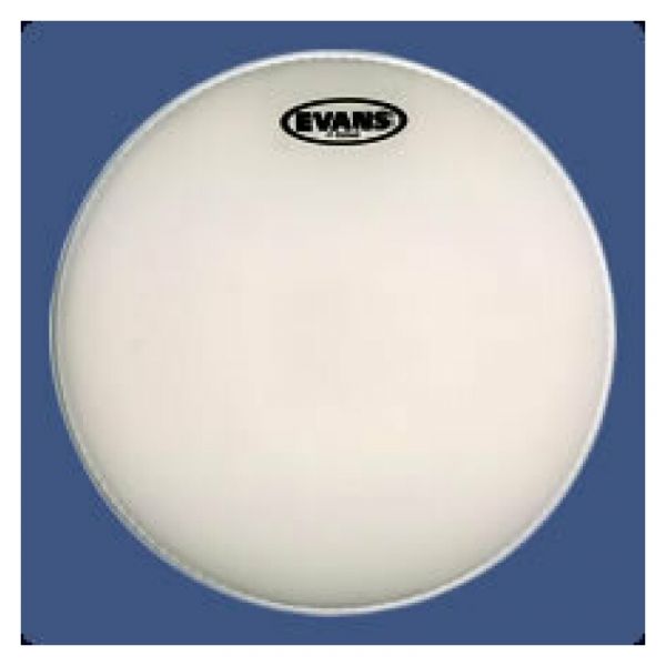 Evans genera g1 sabb.13 b13g1