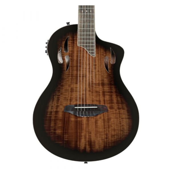 Raimundo r-200 w/bag