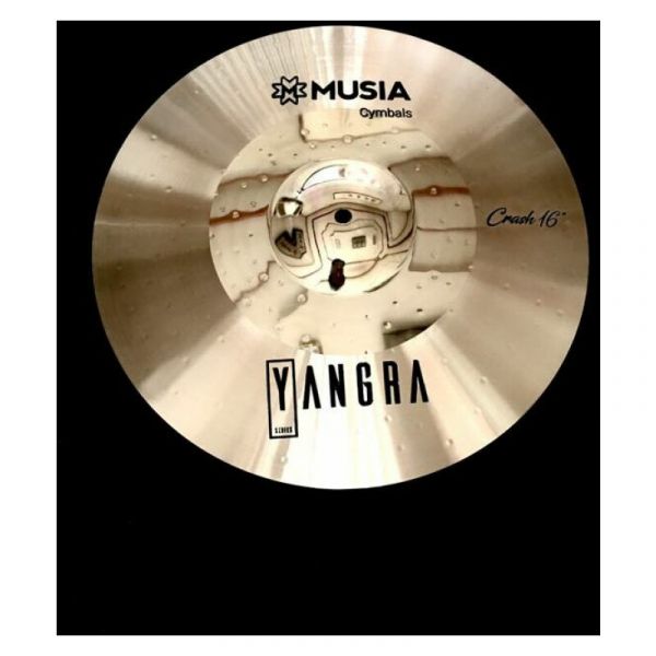 Musia Instruments yangra b10 series china 18