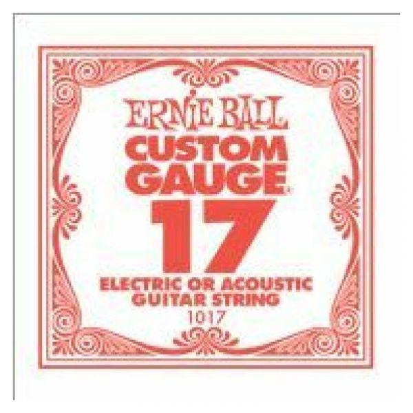 Ernie Ball 017 sfusa 1017 custom gauge