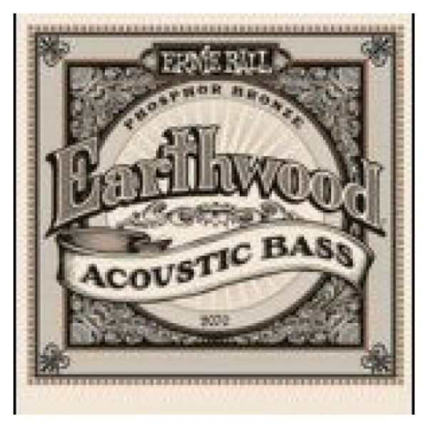 Ernie Ball 2070 - earthwood acoustic bass 045-095