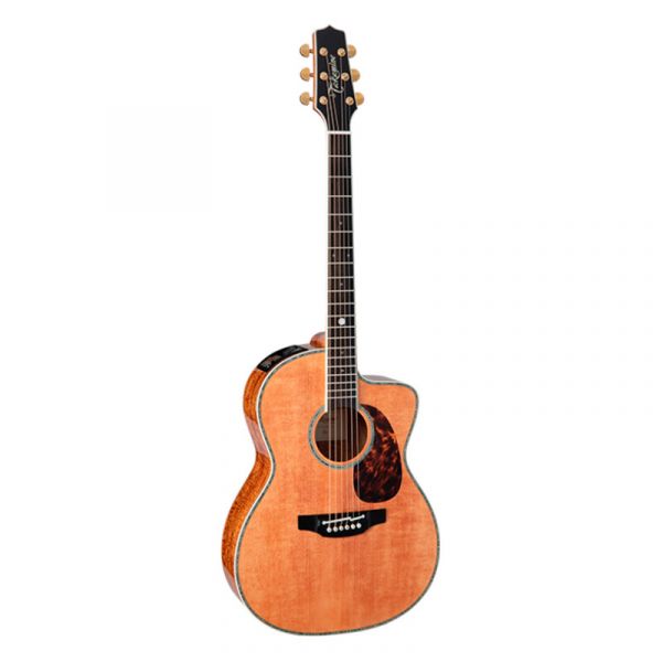 Takamine classical ctw elet limited edition series
