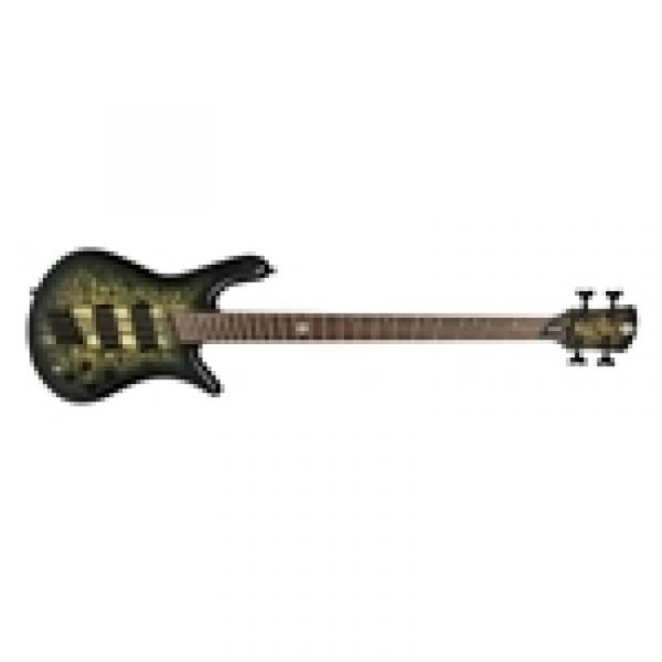 Spector dimension 4 haunted moss