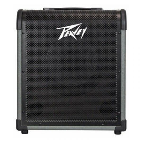 Peavey max 100