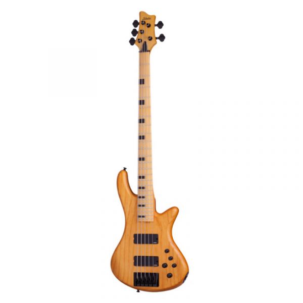 Schecter stiletto session-5-ans