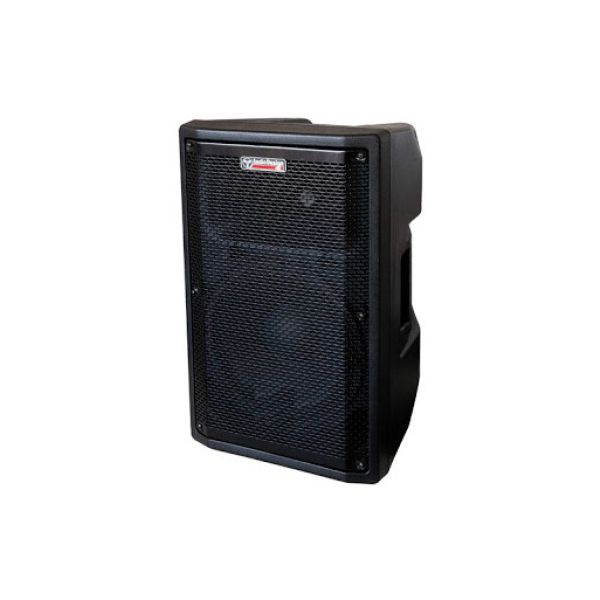 Audio Design Pro max2 8+ diffusore attivo bi-amp - 2 mic in - line