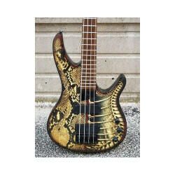 Washburn force b15 abt conto vendita