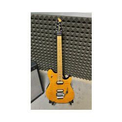 Peavey wolfgang special usato
