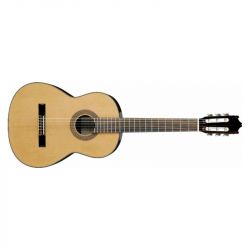 Ibanez g500-nt usato