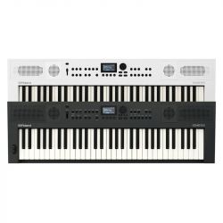 Roland go:keys 5 graphite