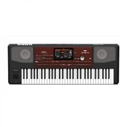 Korg pa700 usato