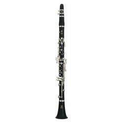 Yamaha ycl 255 conto vendita