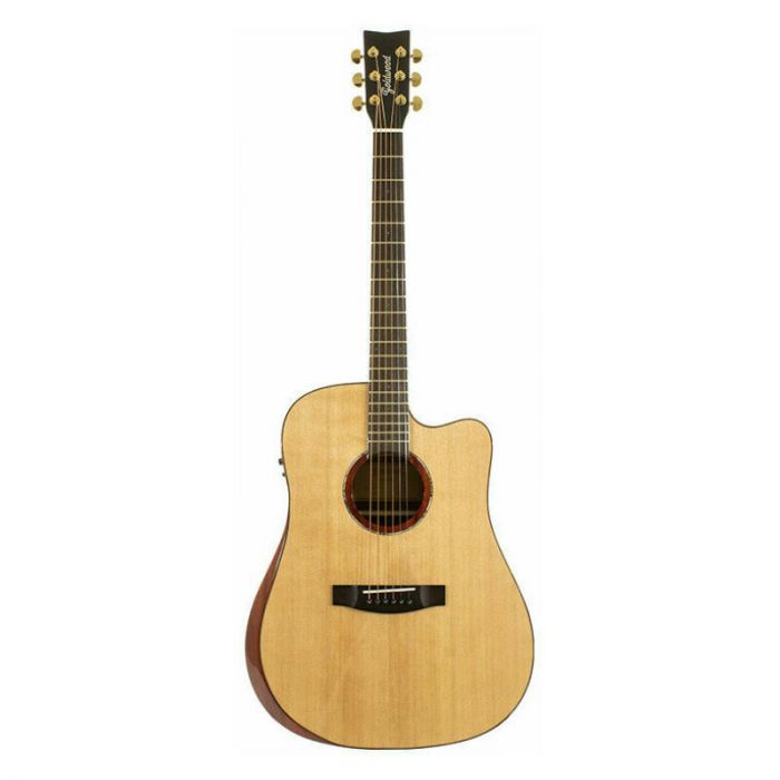 Goldwood collina dreadnought cutaway armrest ed.