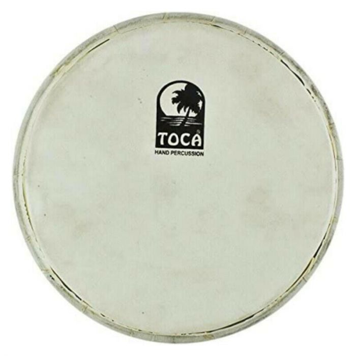 Toca pelle tarabuka 9