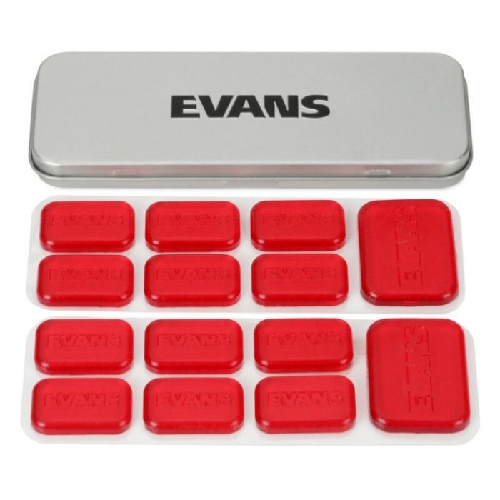 Evans eq minipods