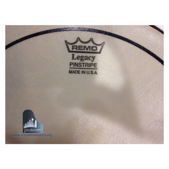 Remo pinstripe legacy sabb.10