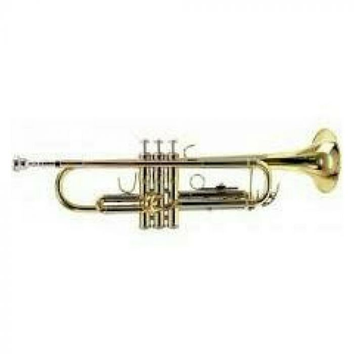 Bach TR-650 tromba in Sib laccata 705990